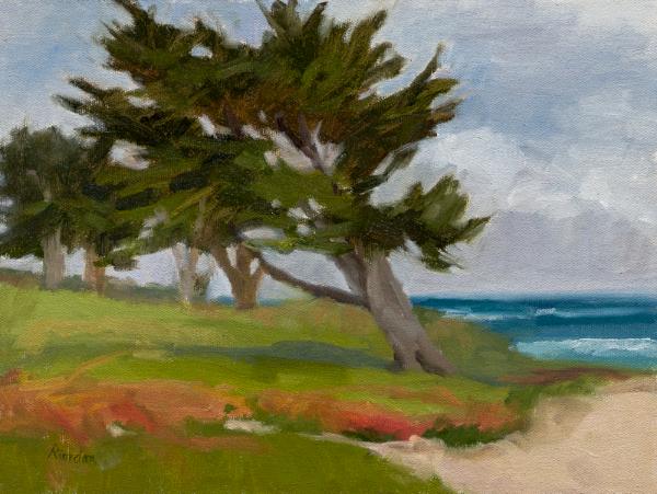 Pacific Grove Cypress